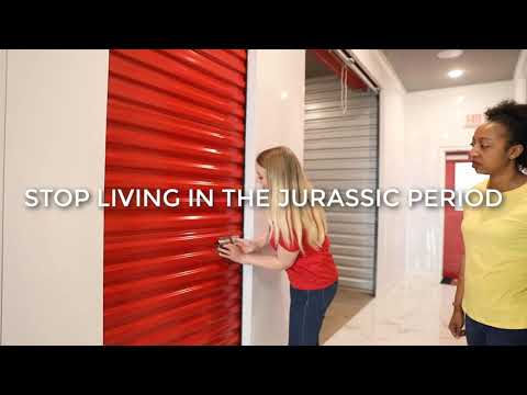 Dinosaur Scare - Modern Storage