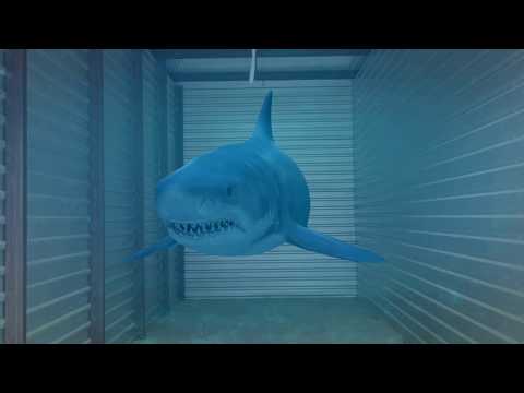 Shark Week: Storage Unit Edition